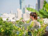 Zukunft urbaner Landschaften: Wie Städte grüner und nachhaltiger werden können