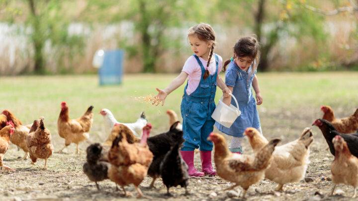 Aktivitäten für Kinder: Spaß und Lernen