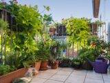 Balkon mit Pflanzenvielfalt und Giesskanne | Gartendeko Metall